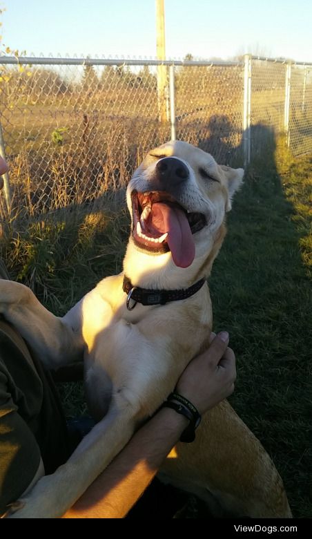 This is Athena! She was 7 months old in this photo, and this was…