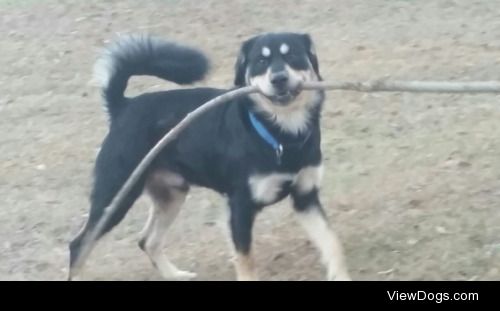 Ruben get really happy when he can choose his own stick! Today…