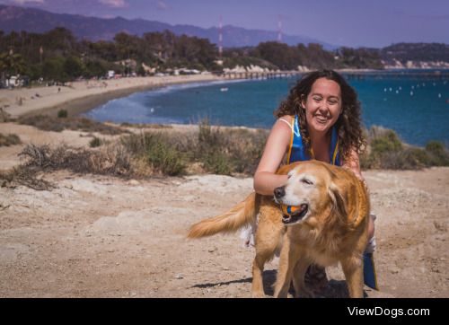 A random dog crashed my grad photos and it was the best thing…