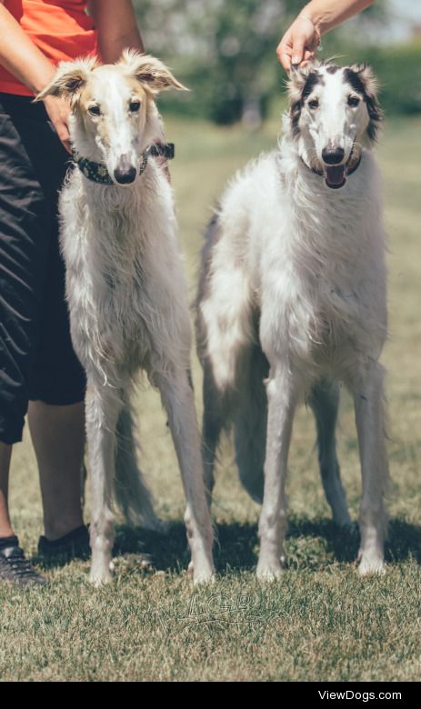 noodle-shrimps:

Vlad and Chekov