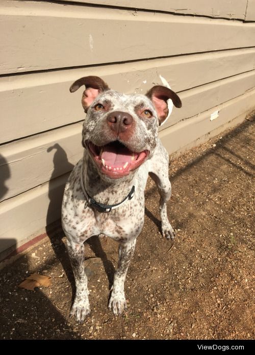 speckledpawdawan:

My happy little girl.