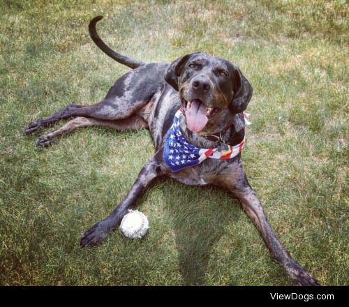 Marla May, Catahoula Leopard Dog