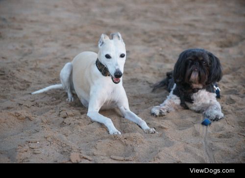 my two beautiful girls, Melody and Mimosa, 14 and 13 years old,…