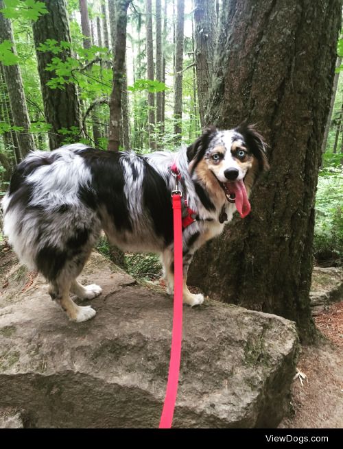 Hiking Oregon. Don’t worry he had plenty of water.