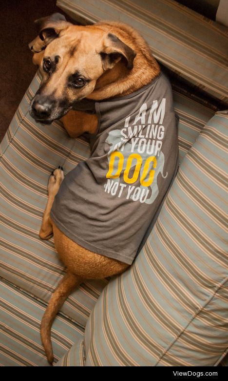 #sorrynotsorryCharlie is modeling our limited time design! It is…