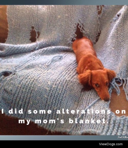 Alteration Altercation

Blanket hand knitted by family friend….