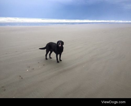 This is Jess at her favourite place in the world.  she is a 10…