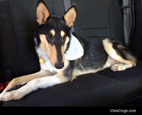 1-pup-of-flour:

He doesn’t know it yet but he’s about to have…