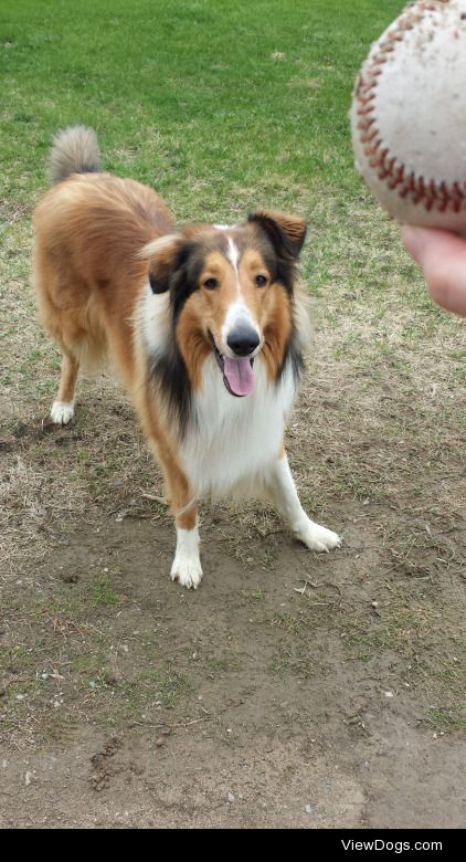 This is Shawnee, the prettiest boy in town.