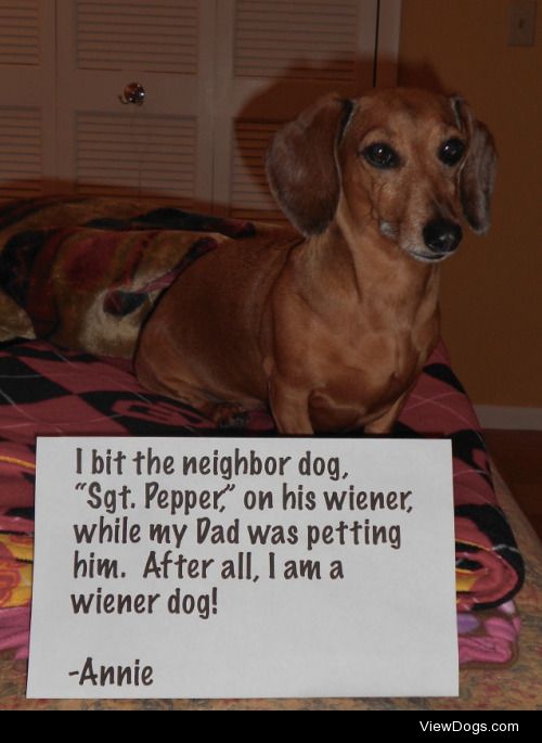 I am a ‘Wiener’ Dog After all…

We were…