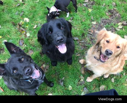 Maggie, Nikki, and JJ enjoying the sunshine (and mud) after a…