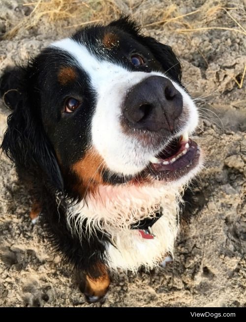 threeberners:hello. do you have any spare treats you do not…