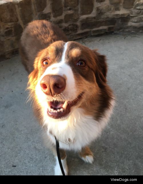 dogsignalfire:

SMILE BOUT UR WEEK