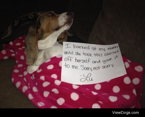 Don’t you Speak dog?!

LuAnne the Basset decided she…