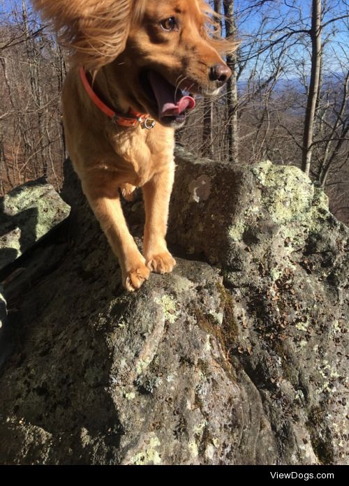 We love bouldering