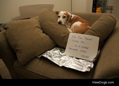 Tinfoil Conspiracies Ain’t Stoppin’ me!

This is…