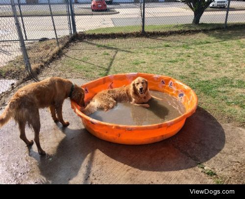 Warm enough today to play in the pools! – Taylor