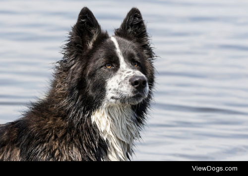 Lake fun by Kallo