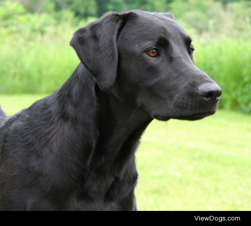 Handsome boy by Peter Wadsworth