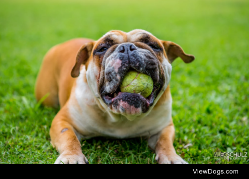 Me and my ball by Alex Schultz