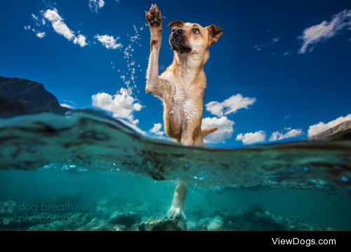 High five by Kaylee Greer