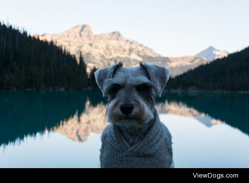 Mountain mornings by Tynan Huber