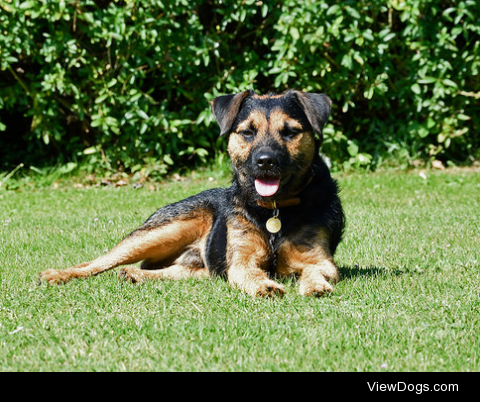 Stan sunbathing by Phoebe DSLR