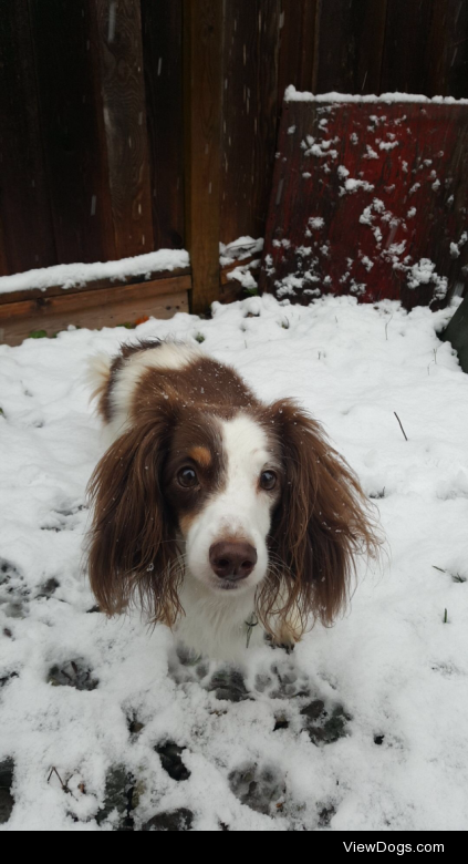 handsomedogs:
Handsomedogs’ Photography Contest XIVROUND 1Here… handsomedogs:
Handsomedogs’ Photography Contest XIVROUND 1Here…