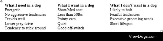 Do you have any advice for someone planning to adopt a dog for the first time?