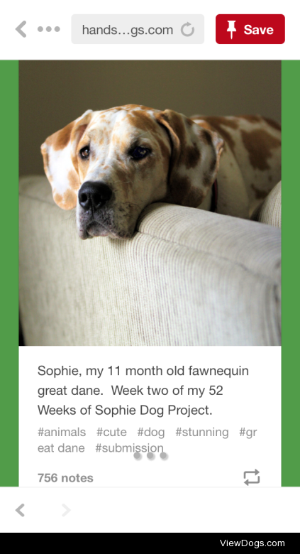 Hi I was just wondering who Sophie is because I think I have…