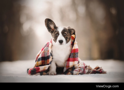 Sweater Weather | Kristýna Kvapilová