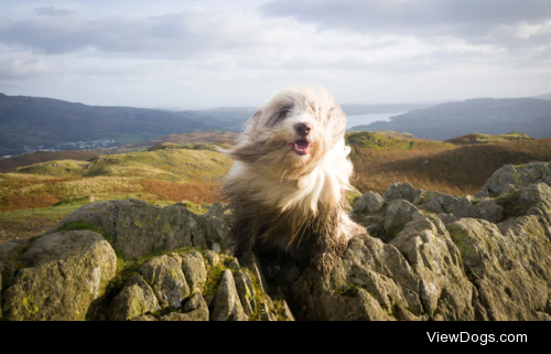 A muddy hike | Steve Hurst