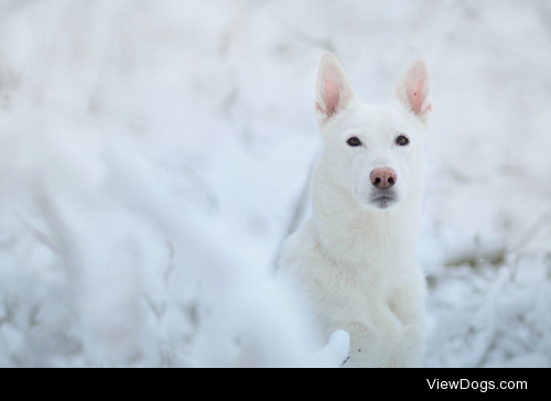 Ghost :by Martyna Ożóg
facebook | instagram | flickr