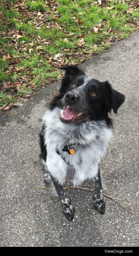 arlo-venn:

Just found this old photo on my phone! My happy, happy boy.