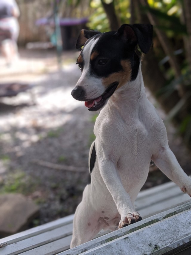 strayfriend:Waiting for mom to swing with him