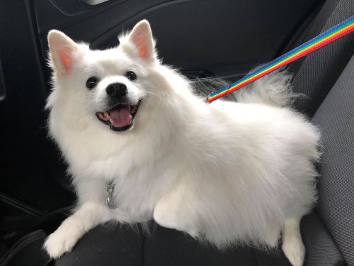 nixtevs-hugo-boss:

ROAD TRIP!!!!!!! 🥳 