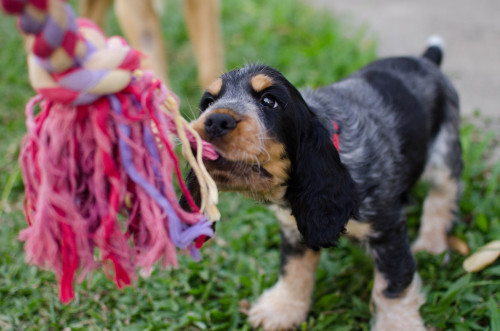 sidetongue:

he wasn’t very committed to this game