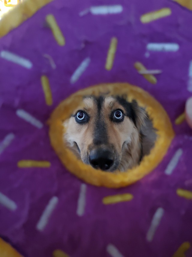 jakemyboy:A fraction of a second before I had to toss the donut 🍩 to save my fingers….