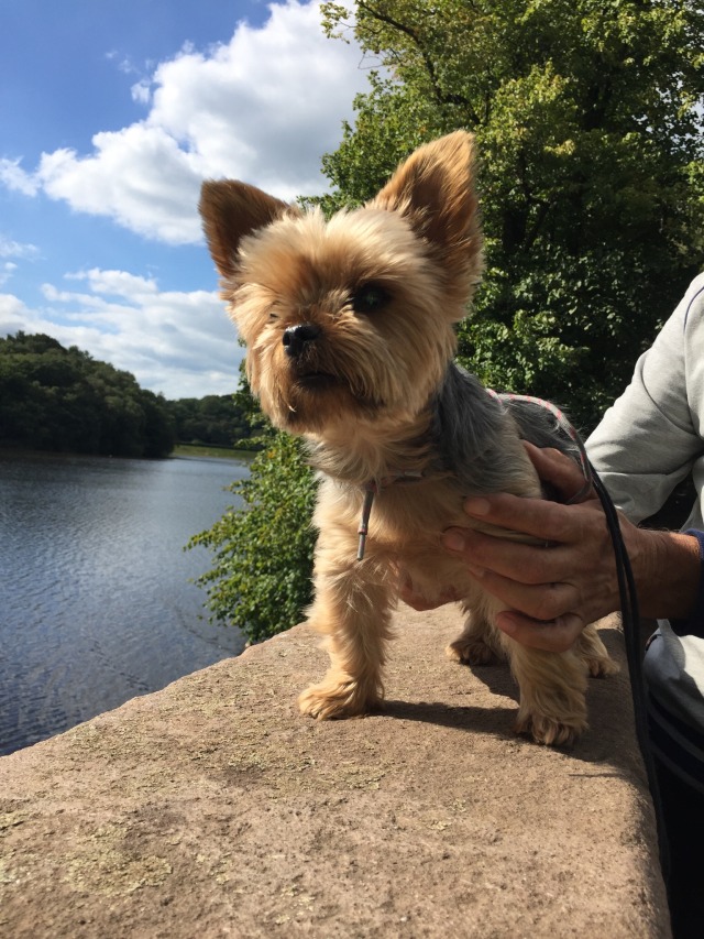 “I like the view” ….“You do”?“You’re my best view” 🐶