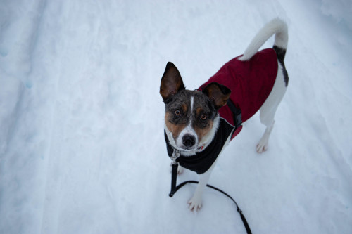 washingtonhound:

Last year’s snow, this year’s ‘TAKE ME BACK…