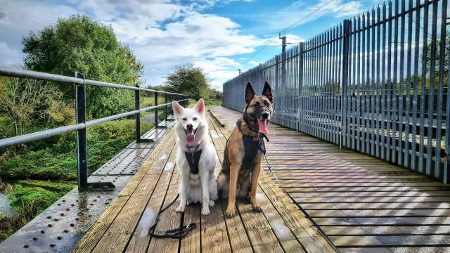 logan-maya:Posing on a bridge