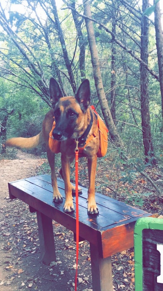 malinwoman:a hiking photo from one year ago 😍