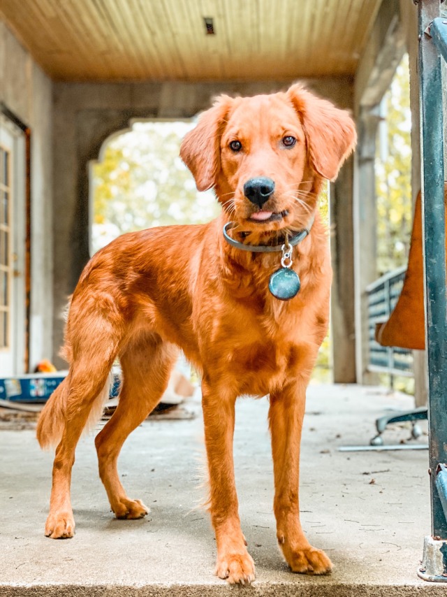 bo0fs:Someday I’ll clean the porch off again