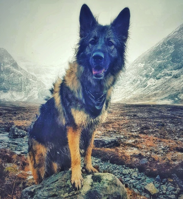 exploring-with-blue:Fairy Pools, Isle of Skye.