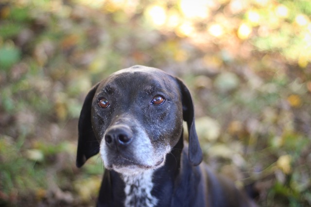 specklemutts:frosty face babie boy