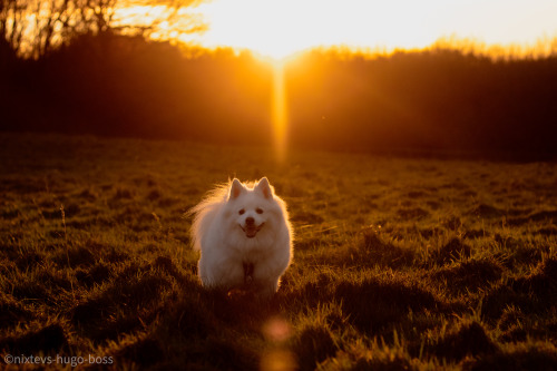 nixtevs-hugo-boss:

i love it when the sun sets in that kind of…