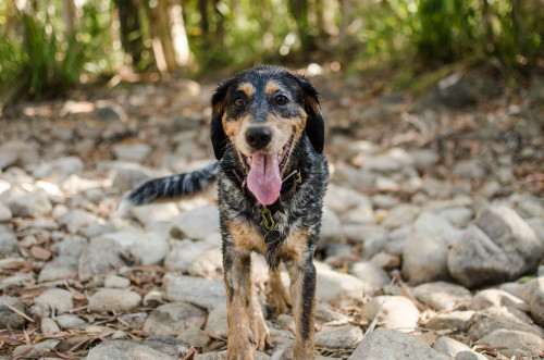 sidetongue:

she’s pretty flippin cool 