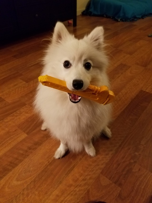 littleadventurespitz:I told Freyja she needed to pay rent, so she’s a plumber now.