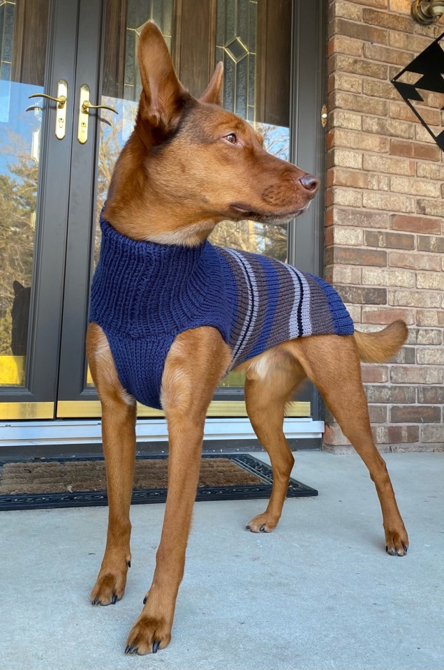 archy-with-a-y:A handsome boy in a sweater!