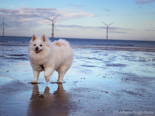 nixtevs-hugo-boss:

he was too busy dancing around the beach to…